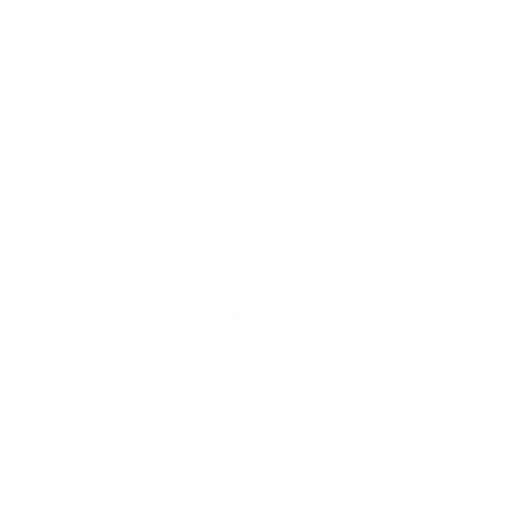 Najwyższej jakości ziarna kawy rzemieślniczej