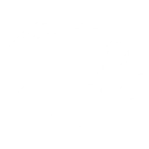 Świeże wypieki z najlepszej mąki